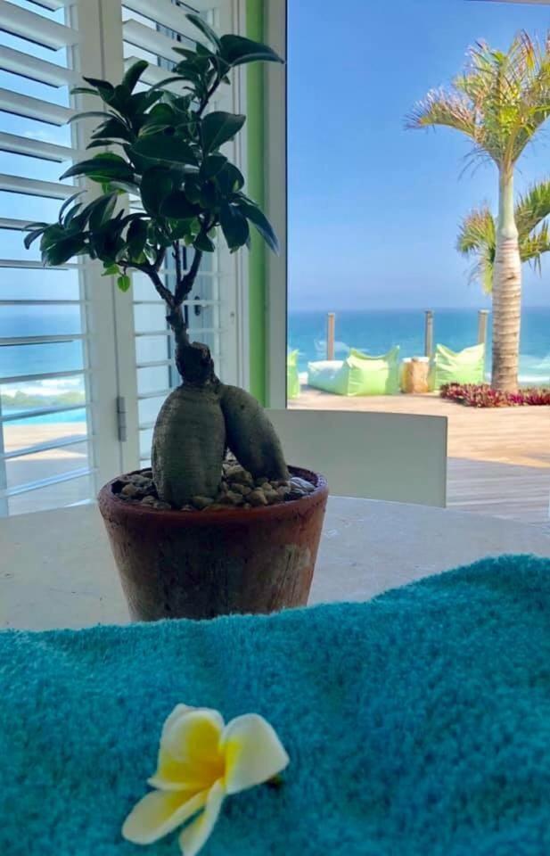 Nakai Beach Homestay Trafalgar Eksteriør billede