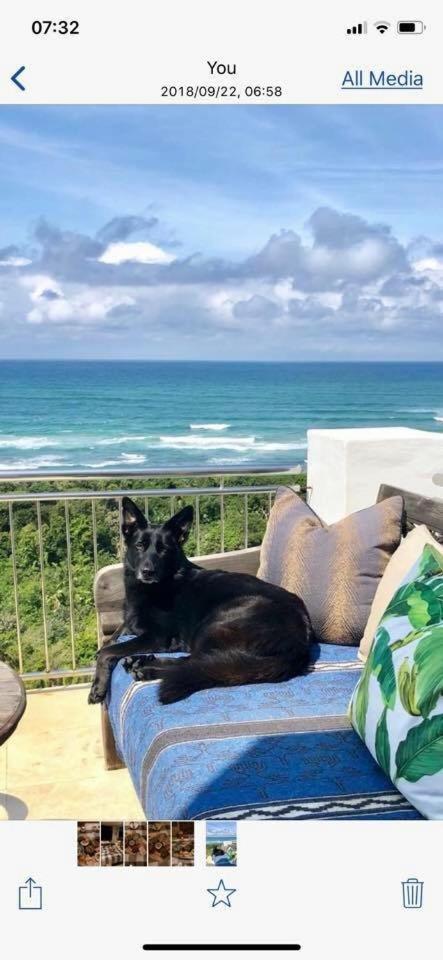 Nakai Beach Homestay Trafalgar Eksteriør billede